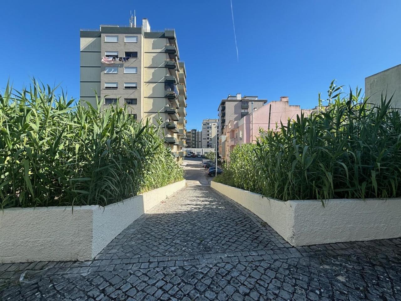 Rosário - two bedroom apart- Buarcos - Figueira da Foz Esterno foto